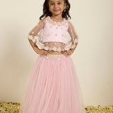 Pink Printed Choli with Embroidered Cape and Poofy Tulle Lehenga