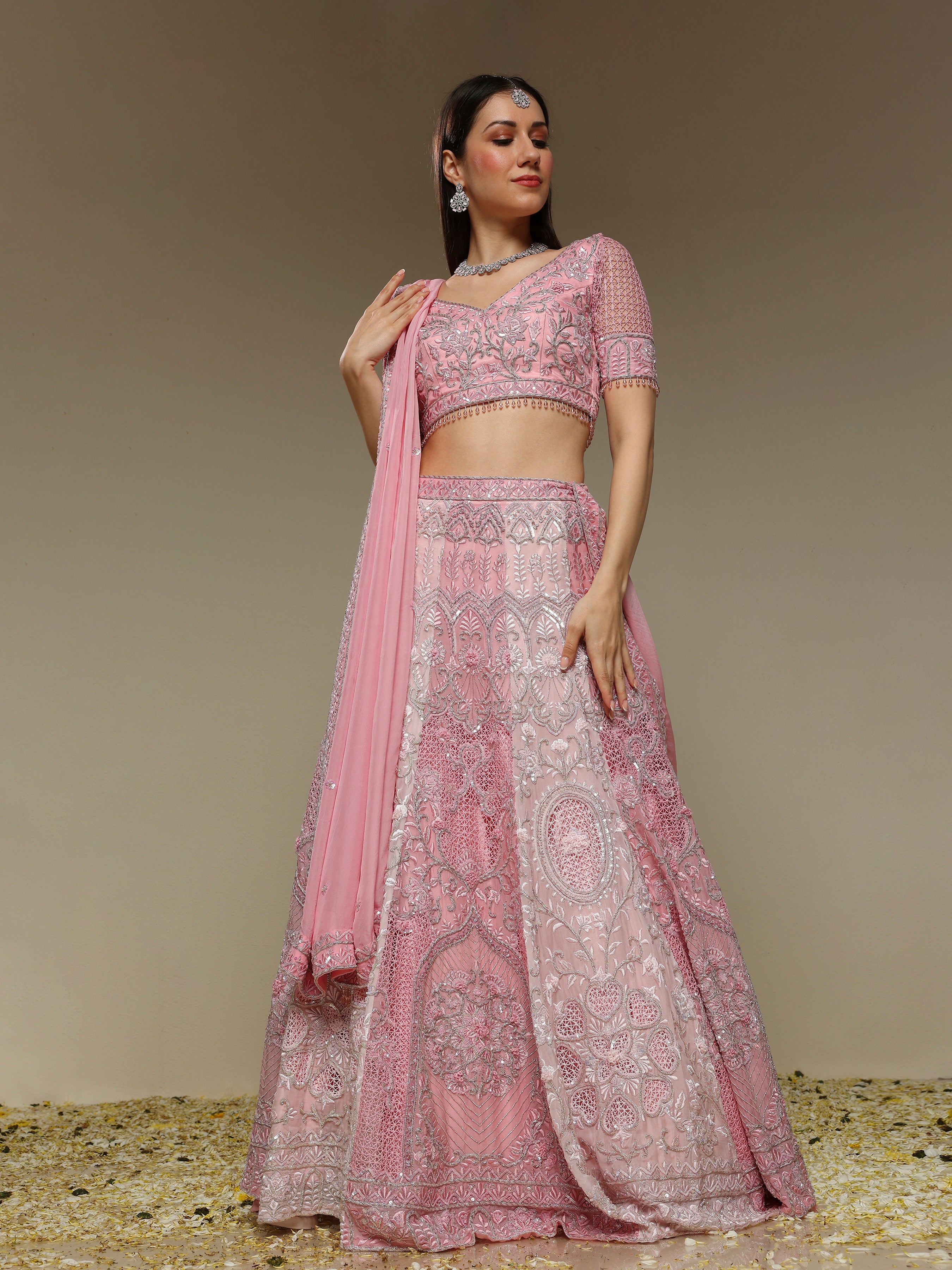 Two tone panelled organza lehenga with jaali and zardozi embroidery