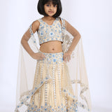 Nude embroidered lehenga choli and dupatta Mother & Daughter set