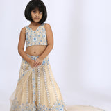 Beige Floral Embroidered Tulle Lehenga Set