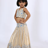 Beige Floral Embroidered Tulle Lehenga Set