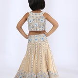 Beige Floral Embroidered Tulle Lehenga Set