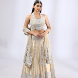 Beige 3D Floral Embroidered Lehenga Set