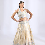 Beige 3D Floral Embroidered Lehenga Set