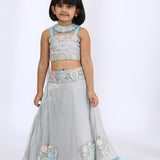 Grey Tulle Embroidered Lehenga Set
