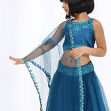 Blue Satin Raw Silk Embroidered Lehenga Set