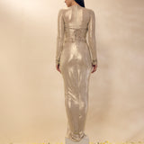 Woman wearing a long, sheer metallic dress on a beige background