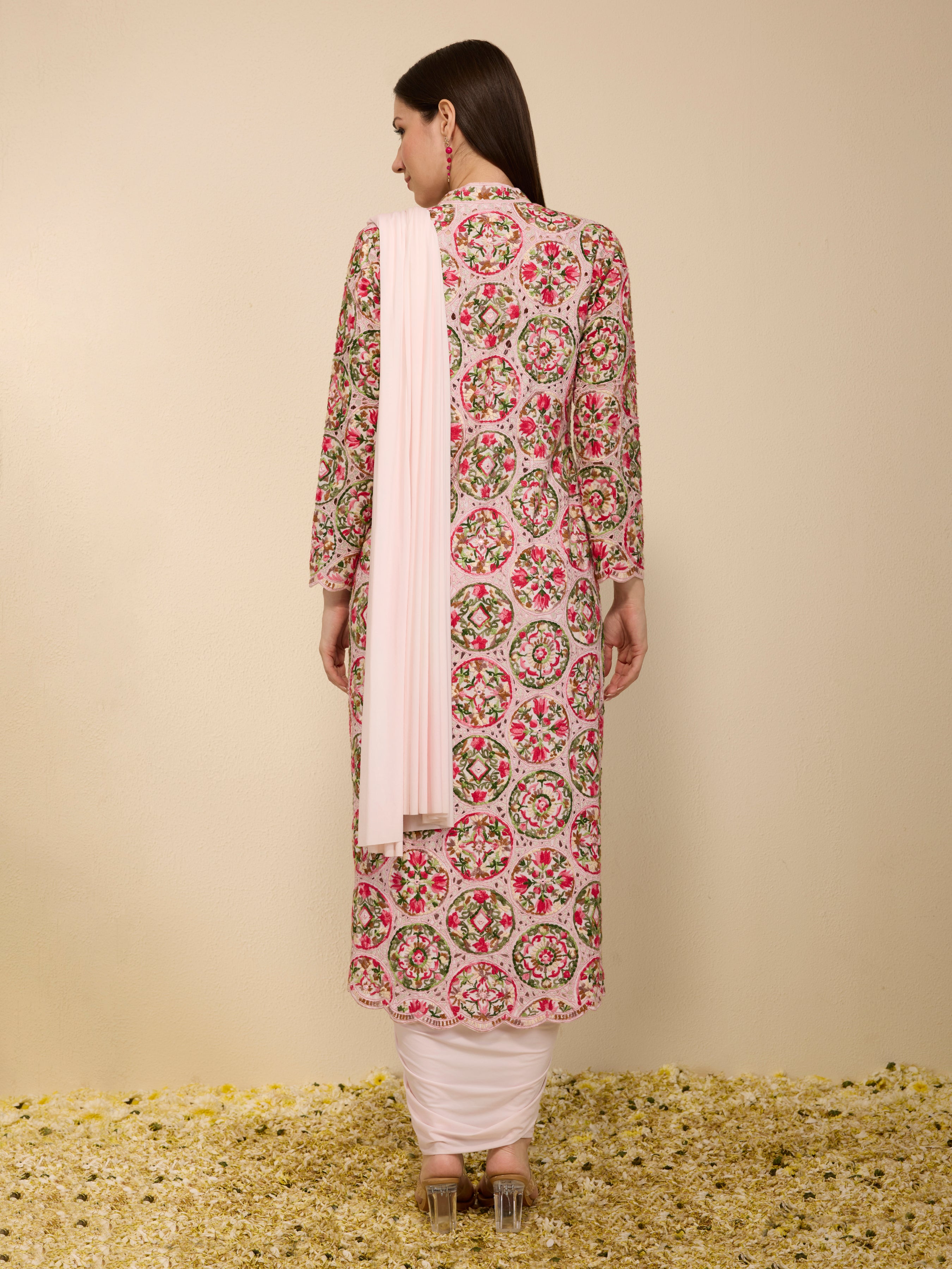 Back view of multi-colored pre draped saree with embroidered jacket