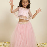 Pink Printed Choli with Embroidered Cape and Poofy Tulle Lehenga