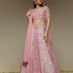 Two tone panelled organza lehenga with jaali and zardozi embroidery