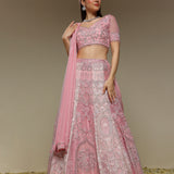 Two tone panelled organza lehenga with jaali and zardozi embroidery