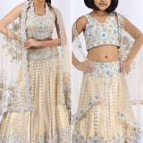 Nude embroidered lehenga choli and dupatta Mother & Daughter set