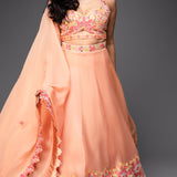 Organza Embroidered Lehenga, Choli and Matching Dupatta